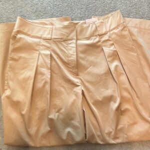 Lane Bryant Beige Pants